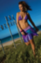 SS09LS066