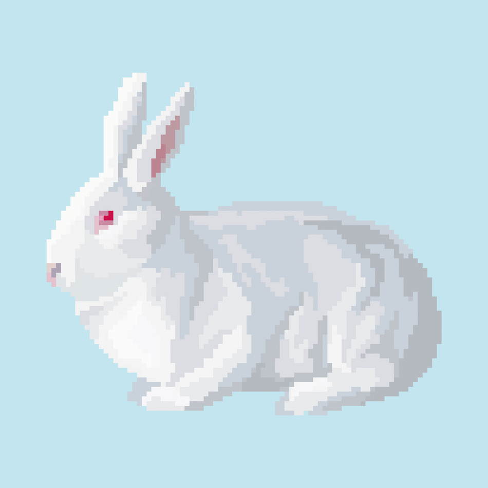 White Rabbit.gif