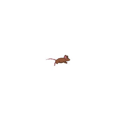 Mouse Running.gif