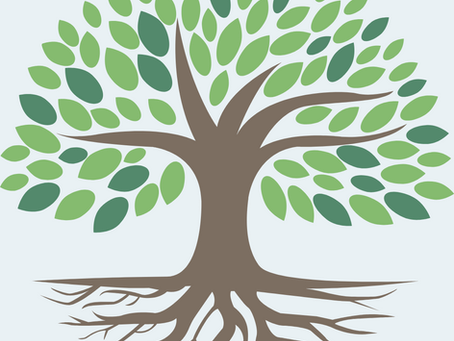 What is Estate Planning, Really?