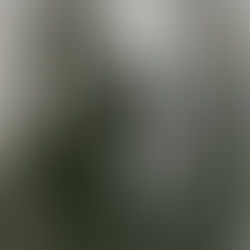 Qwiz5 Quizbowl Essentials – Max Weber