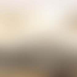 Qwiz5 Quizbowl Essentials: Sepoy Rebellion