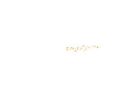 torta canvas.png