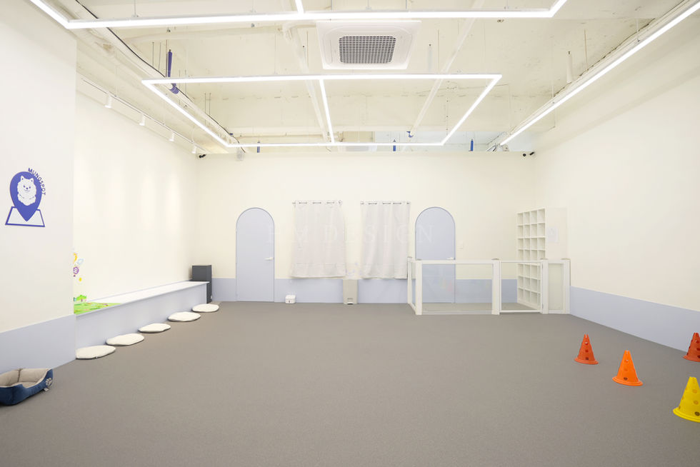 파스텔 블루 톤의 애견 유치원