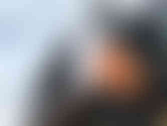 애견복합문화센터 50k