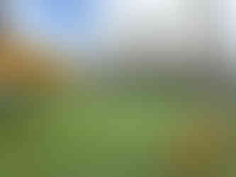 용인 애견 유치원 인테리어