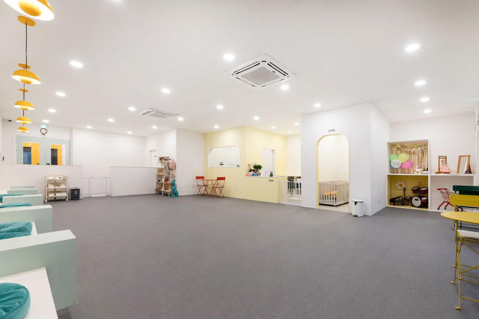 애견 유치원 인테리어