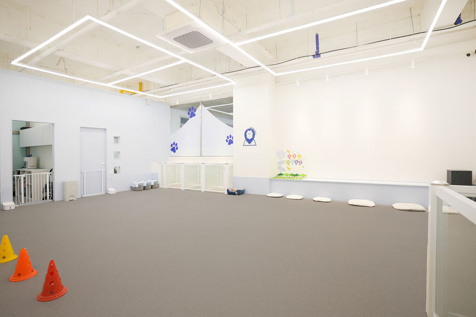 파스텔 블루 톤의 애견 유치원