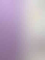 성남 애견 유치원 인테리어