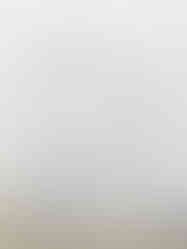 파스텔 블루 톤의 애견 유치원