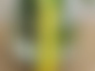 Les bougies, élixir, eau sacré de kouzin Zaka