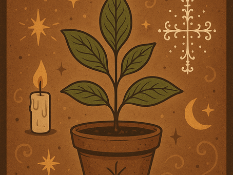 Rituel de purification avec la plante Ortie & Kadia Bossou