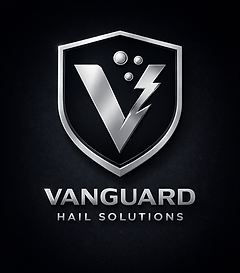 VHS LOGO 1.png