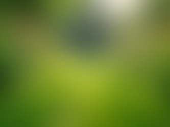 The Importance of Sustainable Living in Today's World