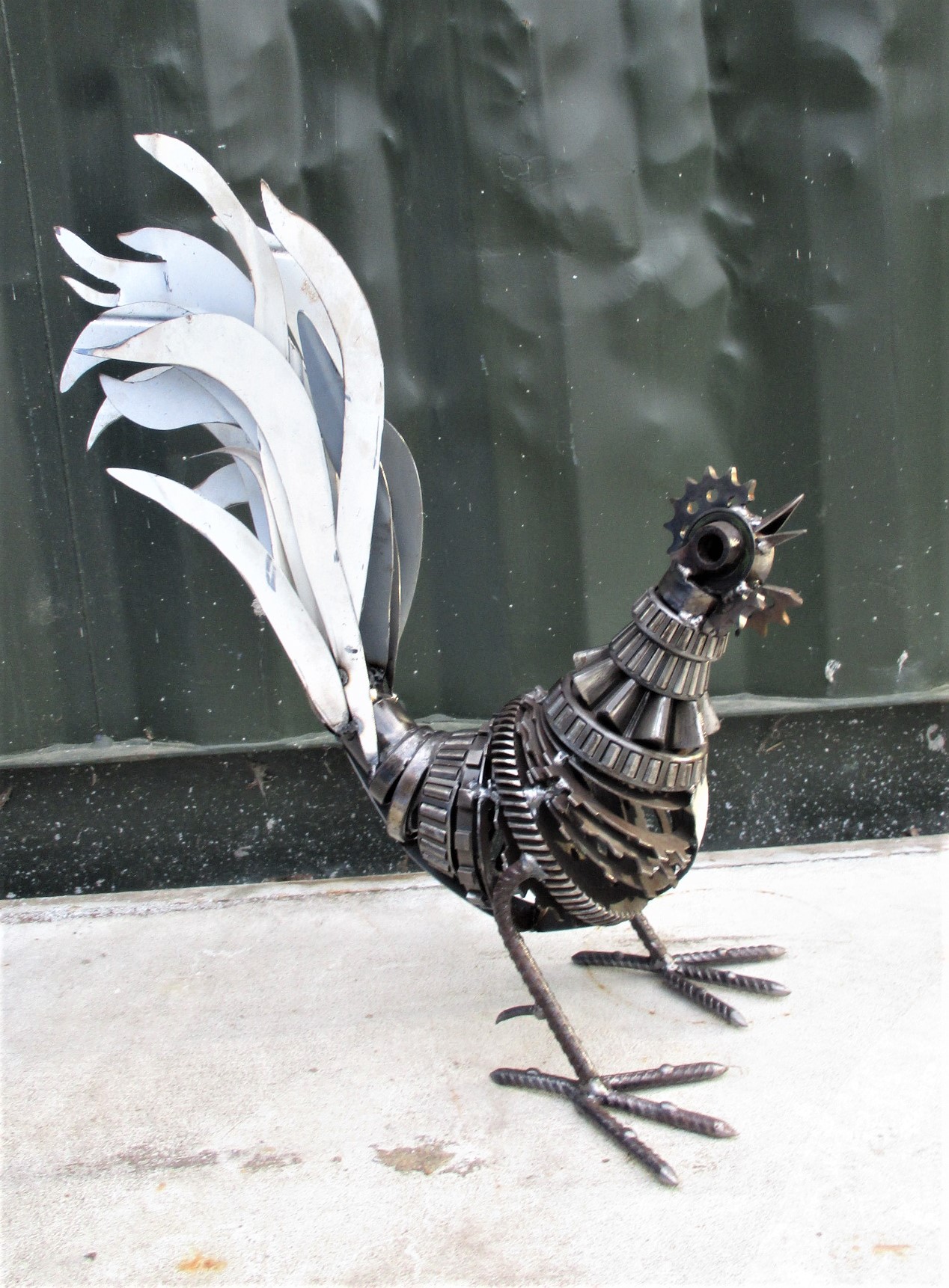 White Rooster.