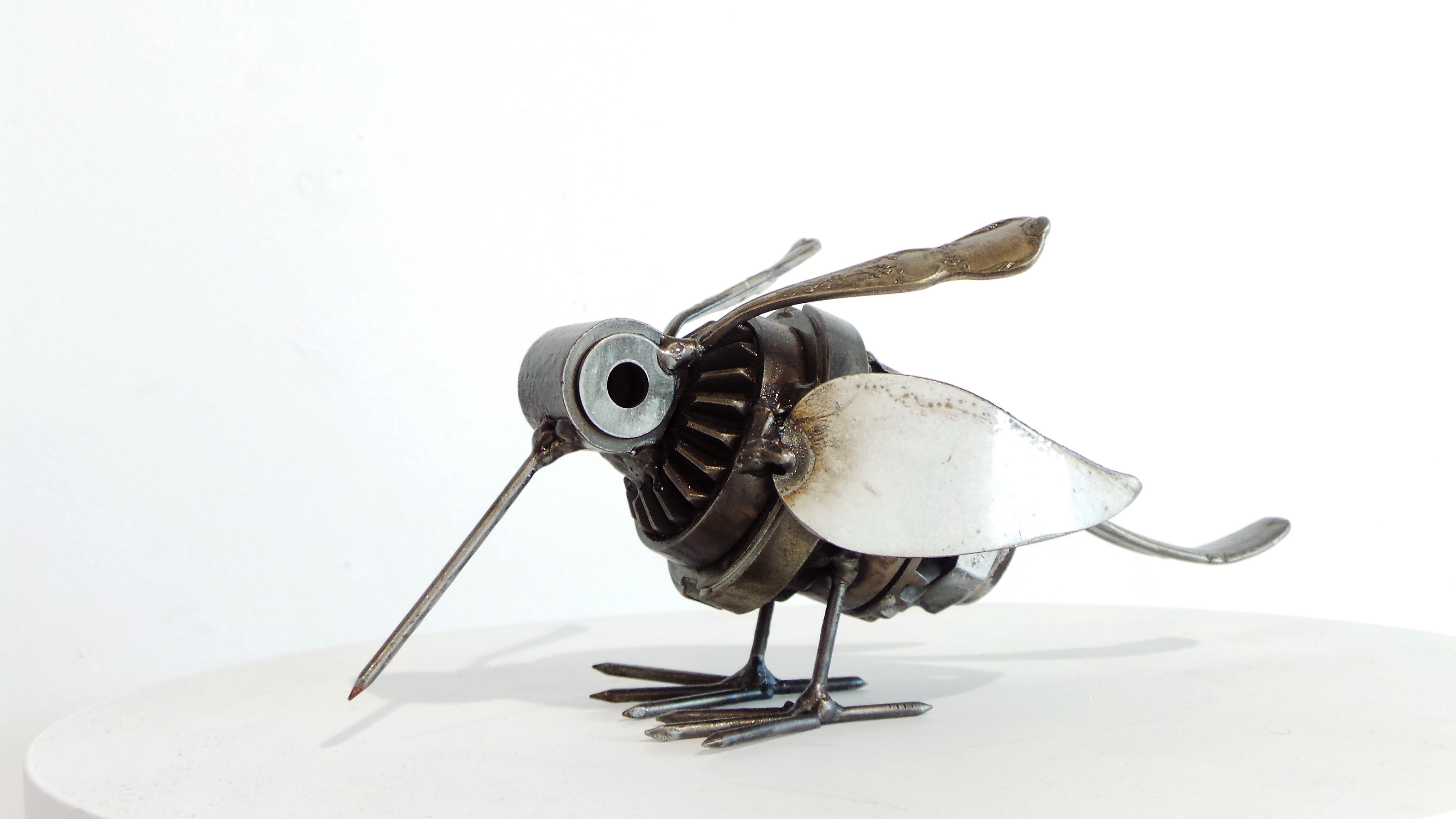 Humming Bird.