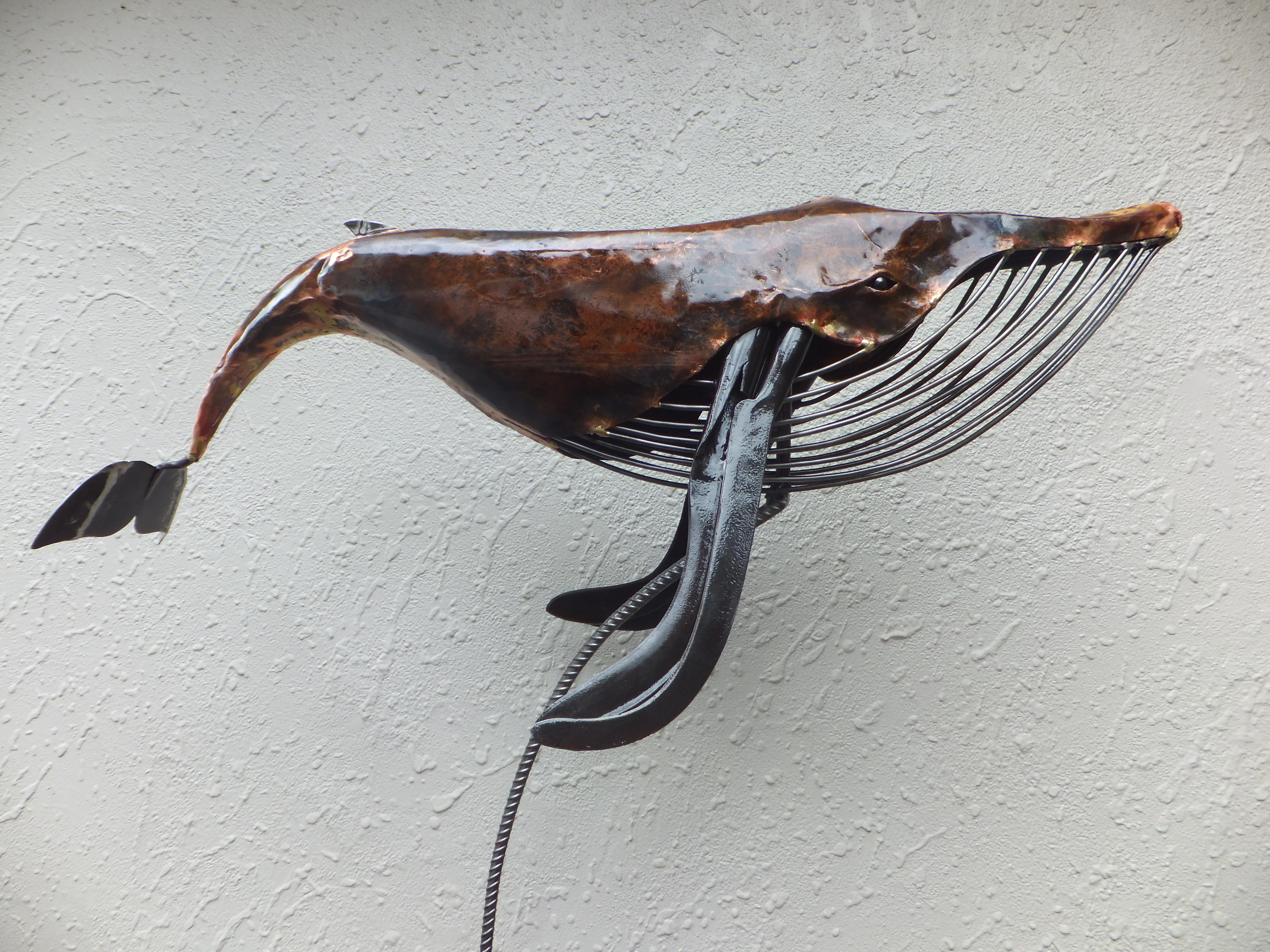 wind whale