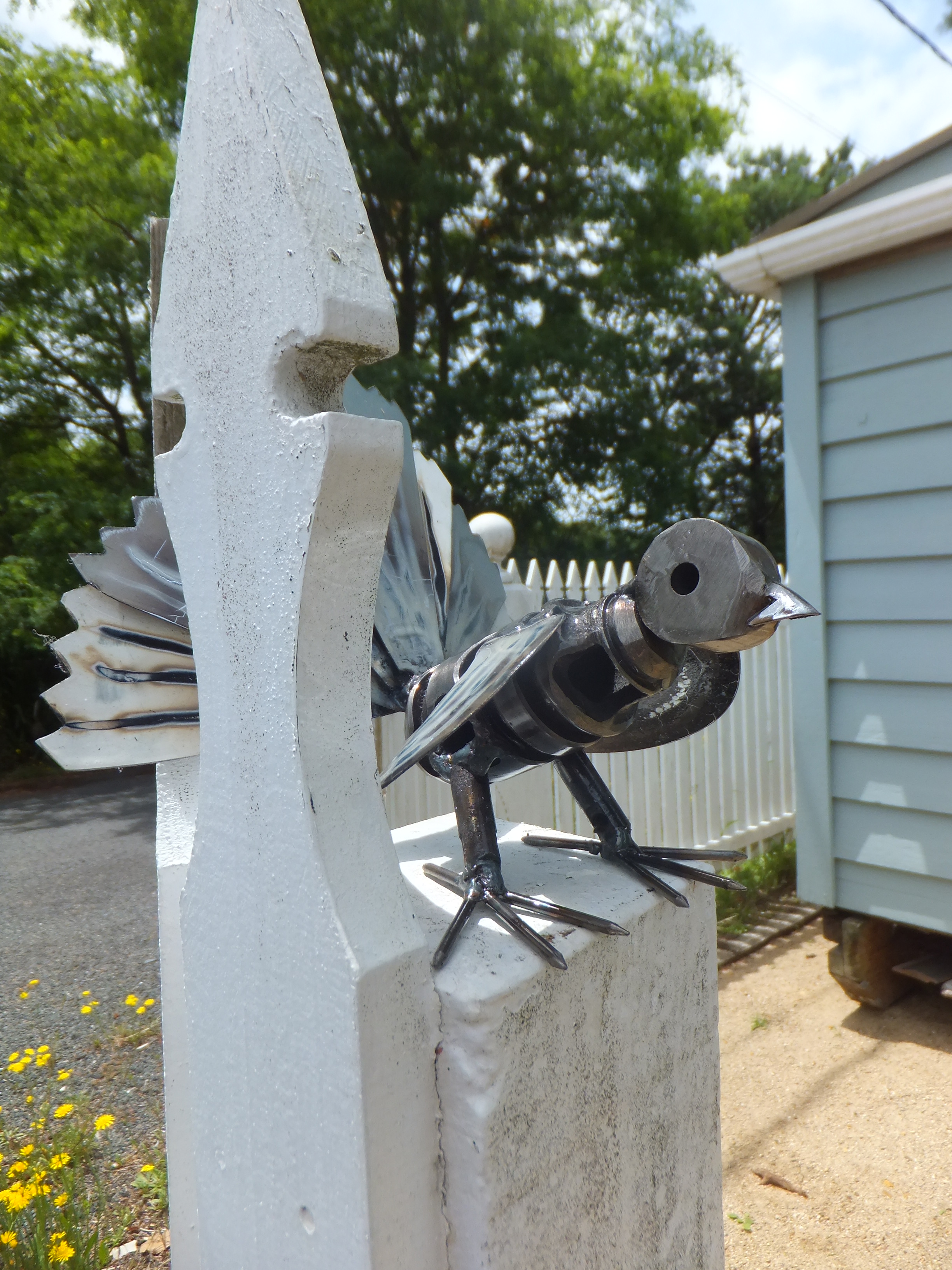 Fantail