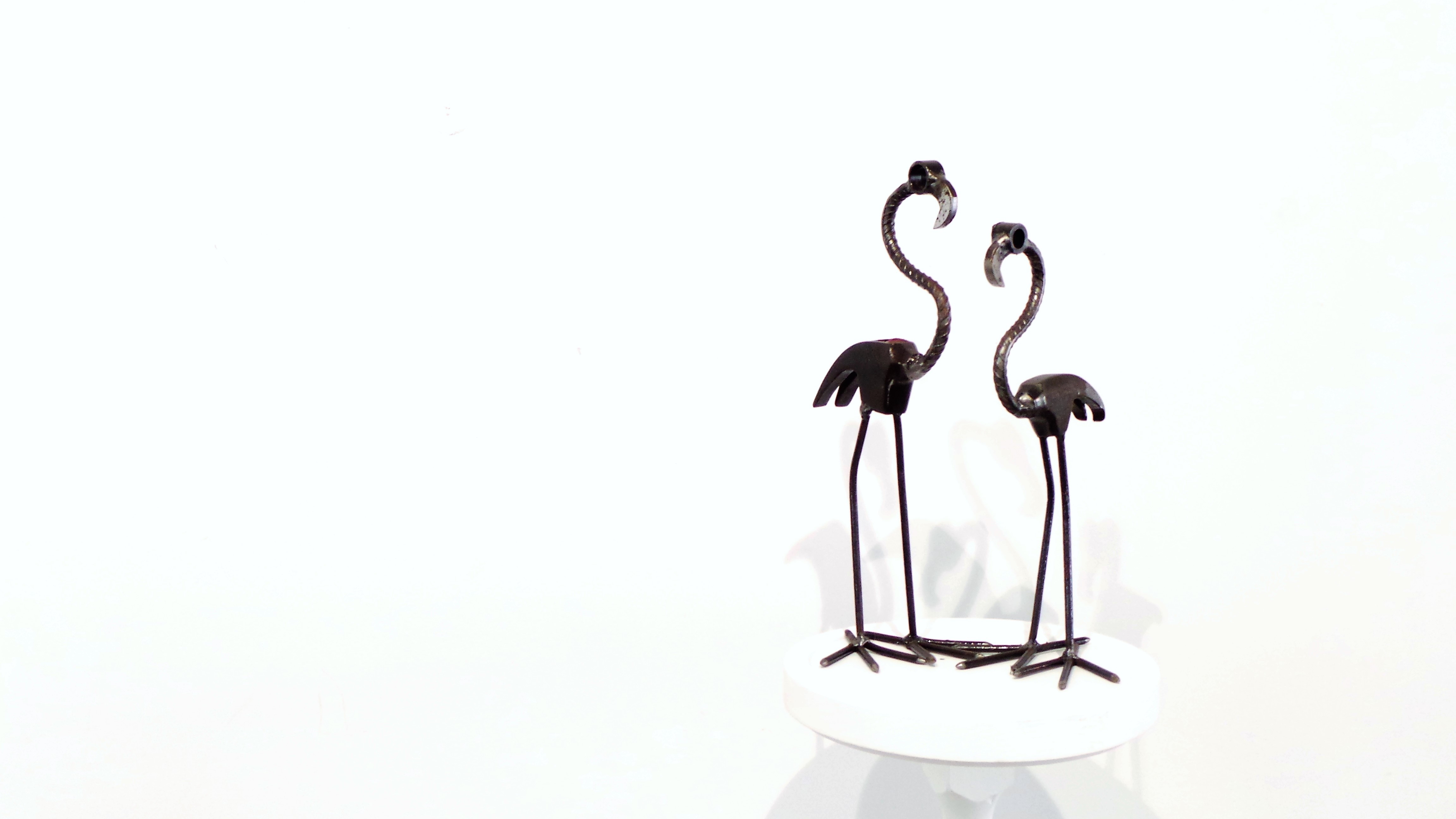 Flamingos