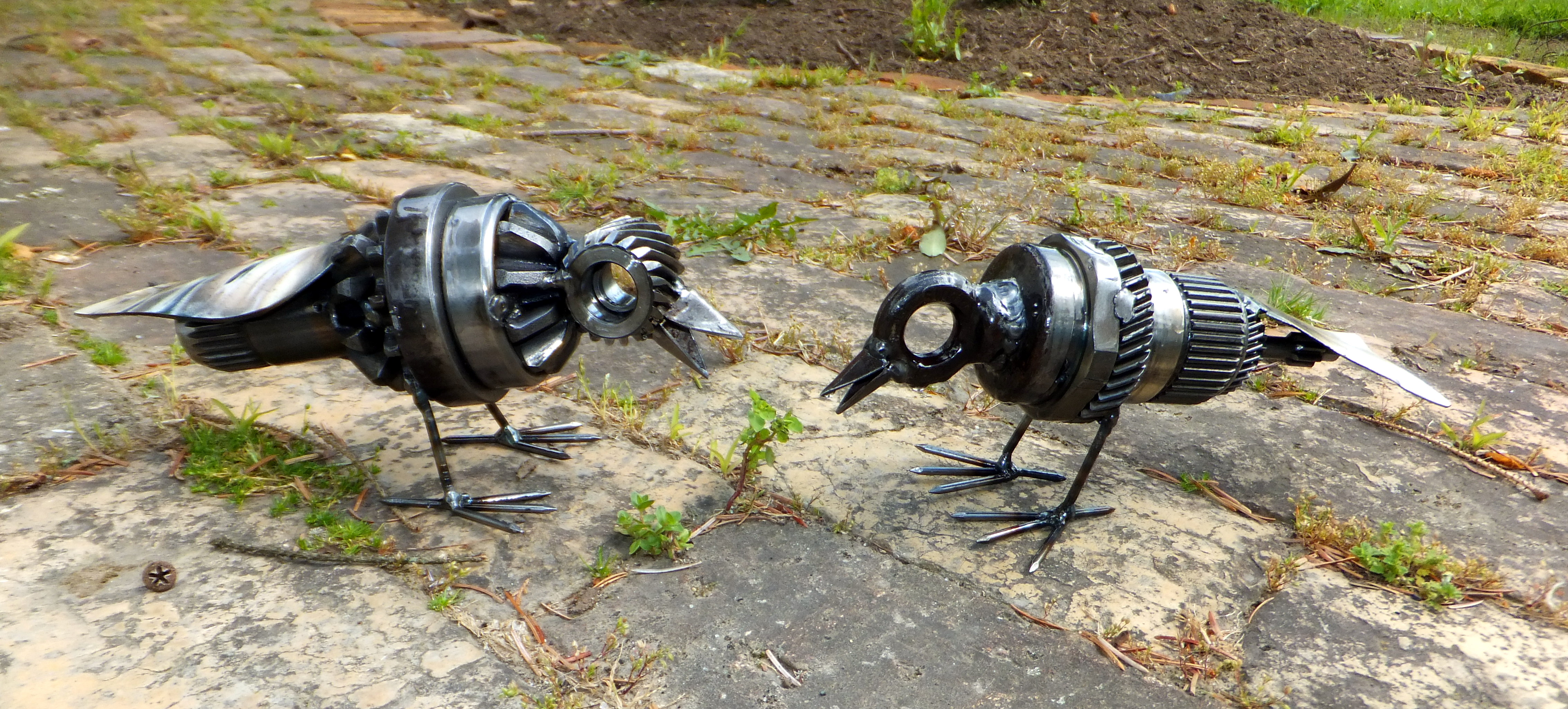 Turbo Sparrows