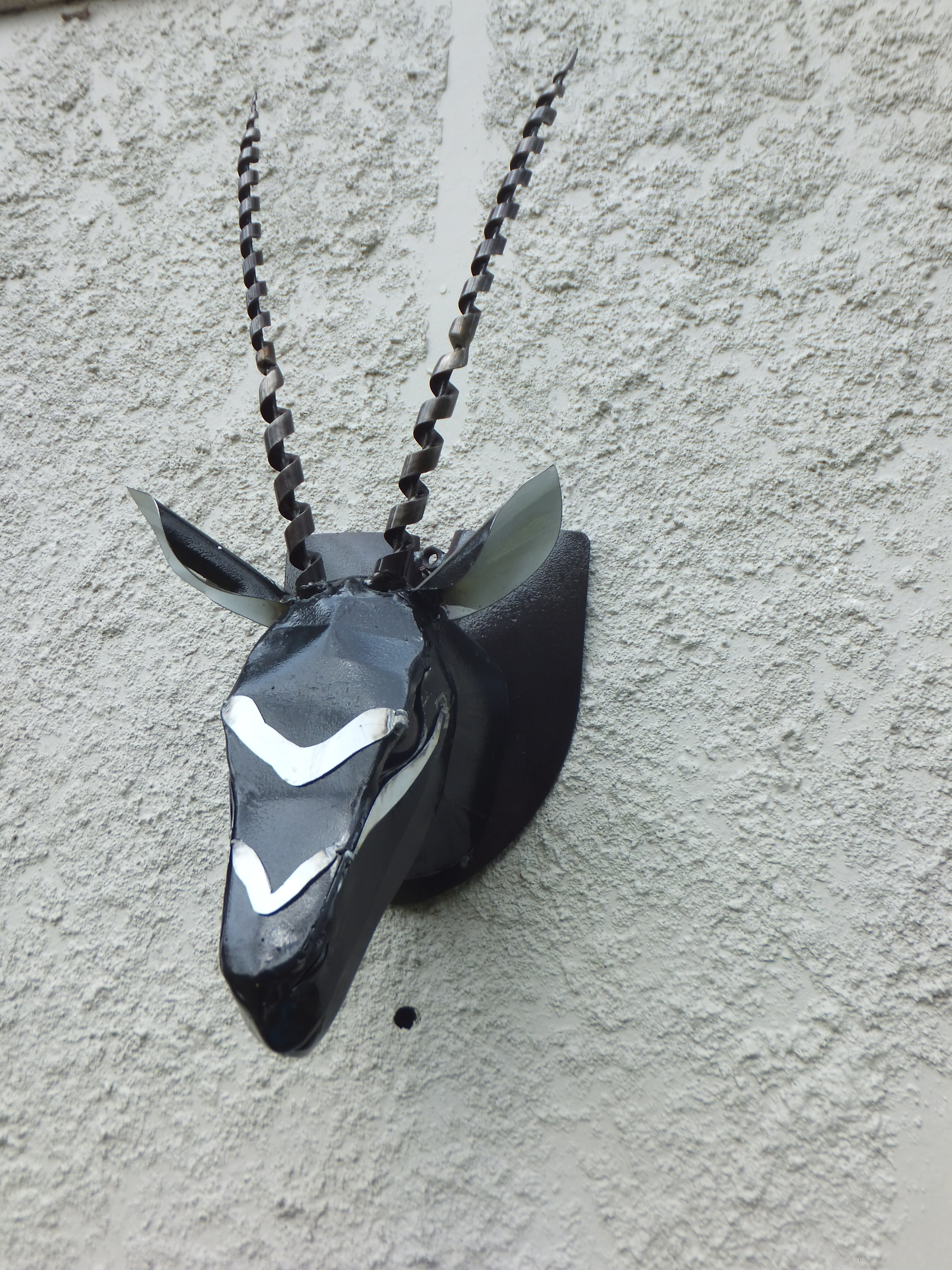 Oryx Head