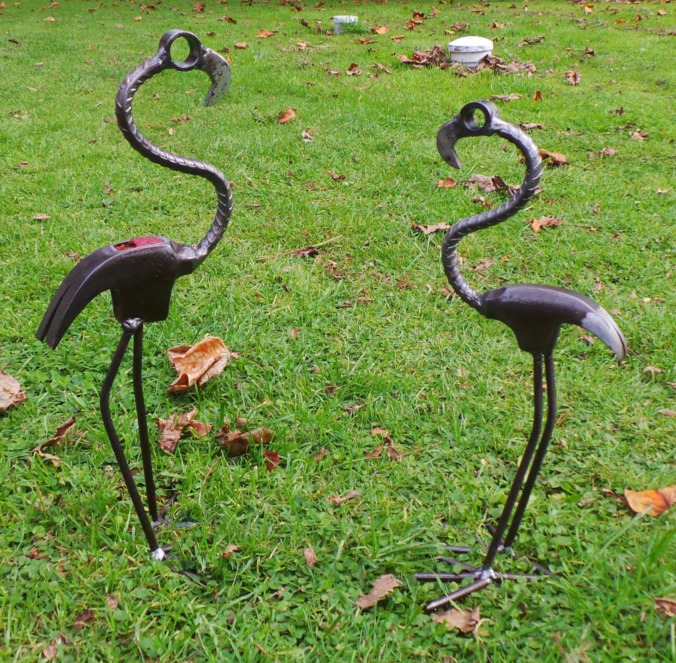 Flamingos