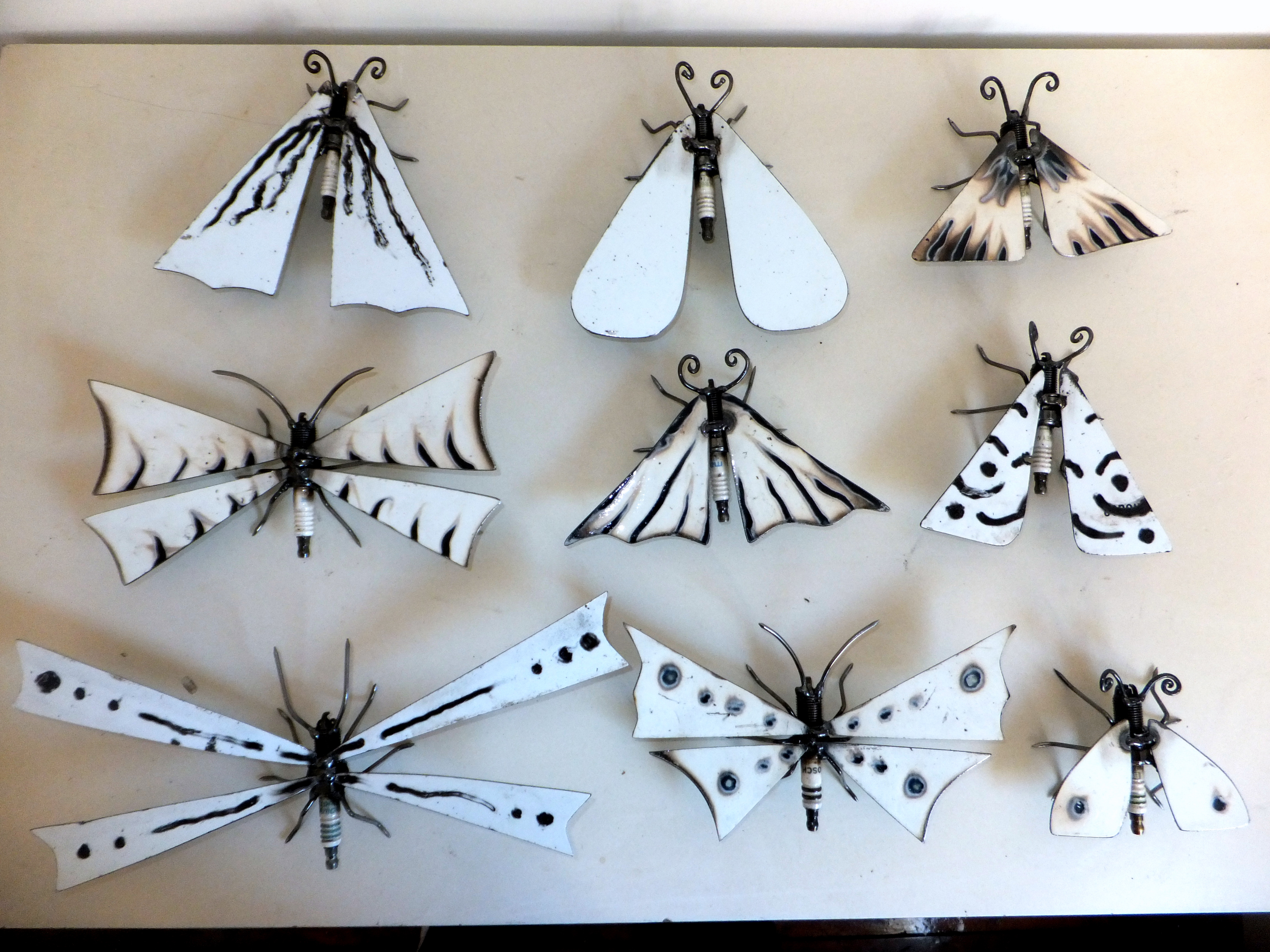 Whiteware Moths