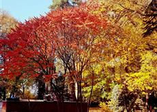 21 Life Lessons from Anita Moorjani’s Amazing Near Death Experience