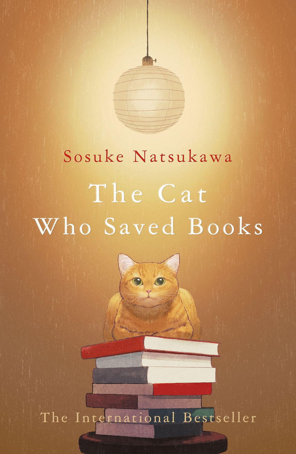 No picture_Book.jpg