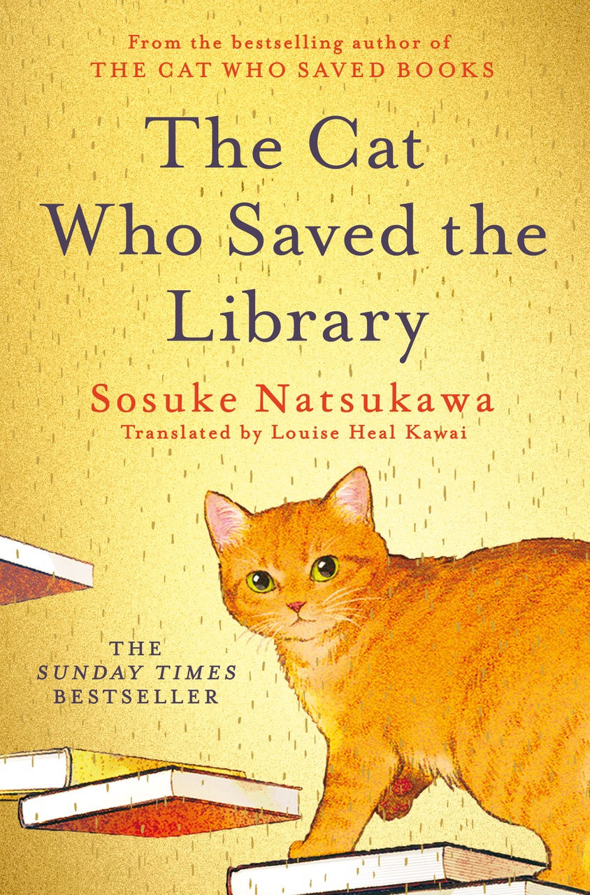 No picture_Book.jpg