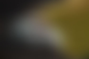 WeatherTech Racing to Start VIR from Row Seven