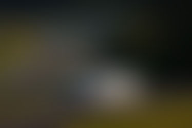 WeatherTech Racing Finishes Sixth at VIR