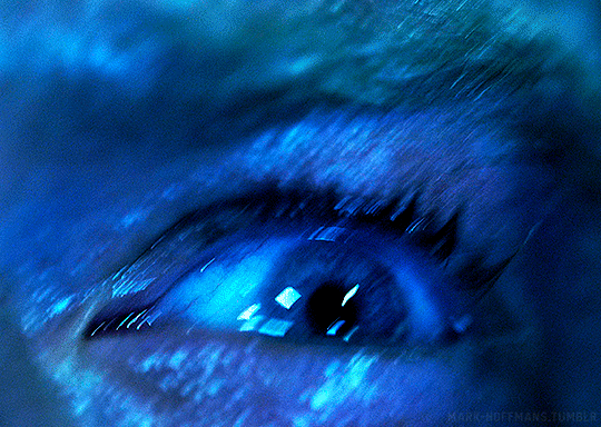 tumblr_bd92621f8a4a9d436521e8650193a52c_507d5291_540.gif