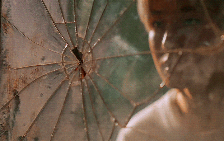 tumblr_f09bbb8f9fe8ae4e8e0112db30295385_ab2621b5_1280.gif