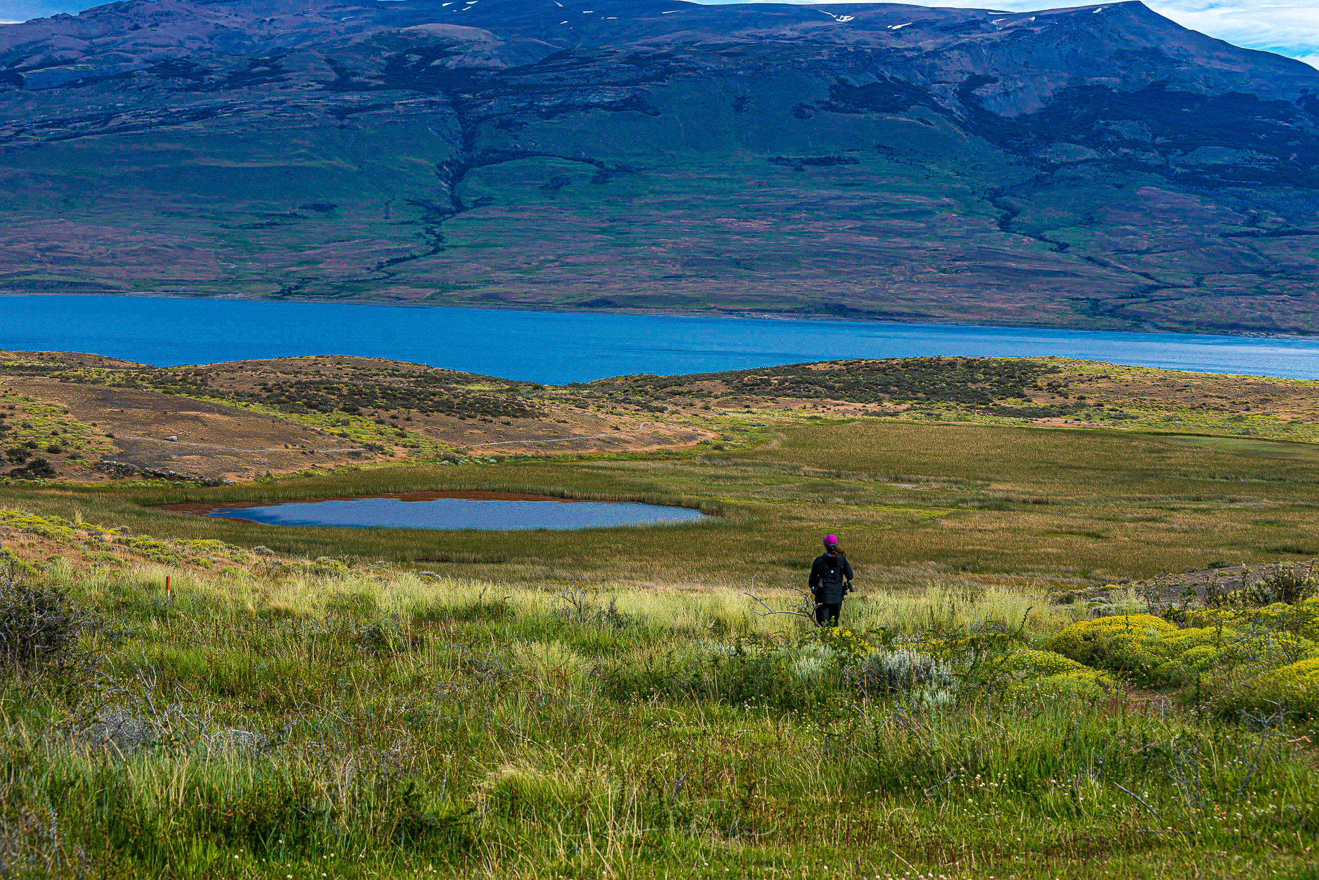 Simplemente Patagonia