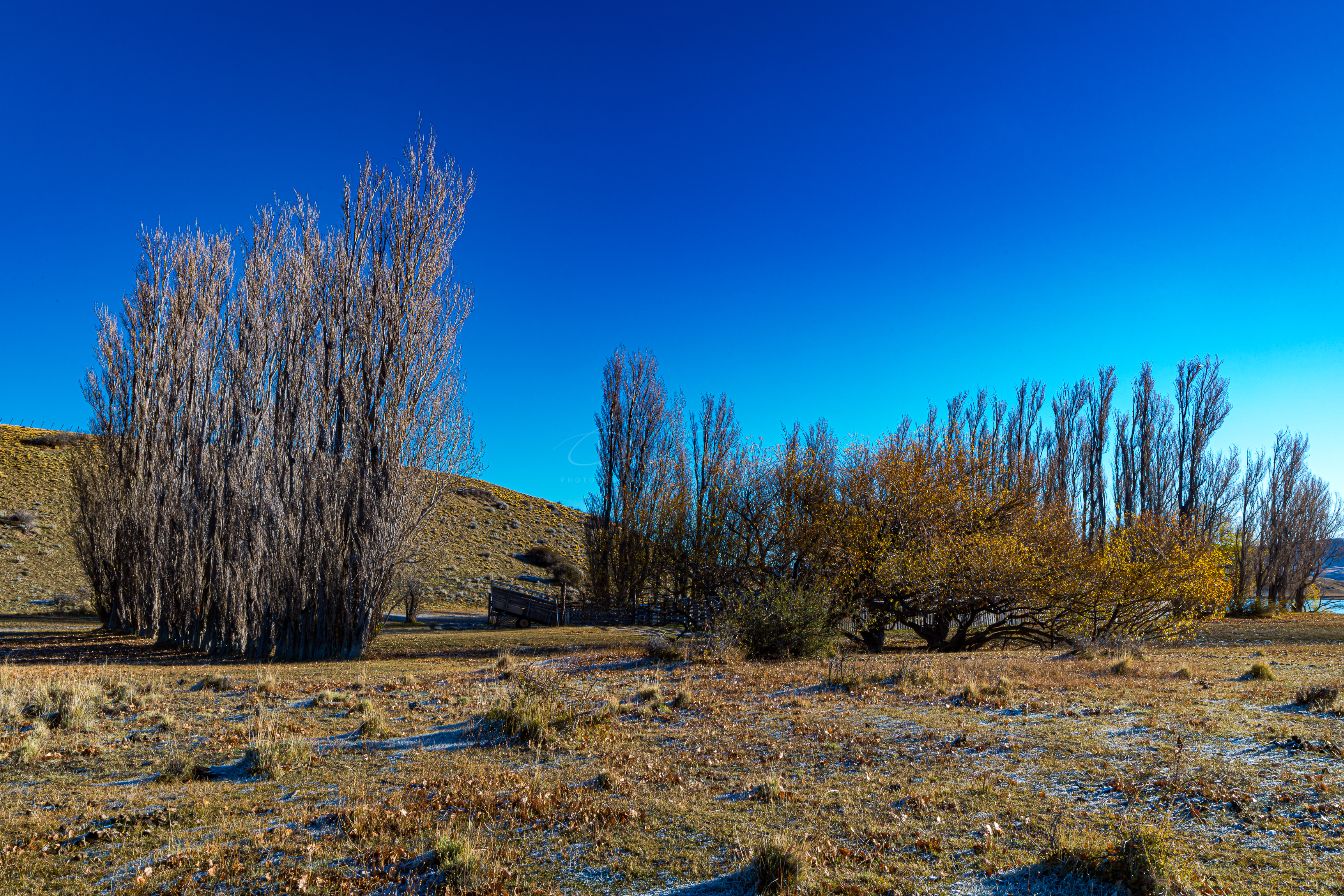 Estancia Patagonica