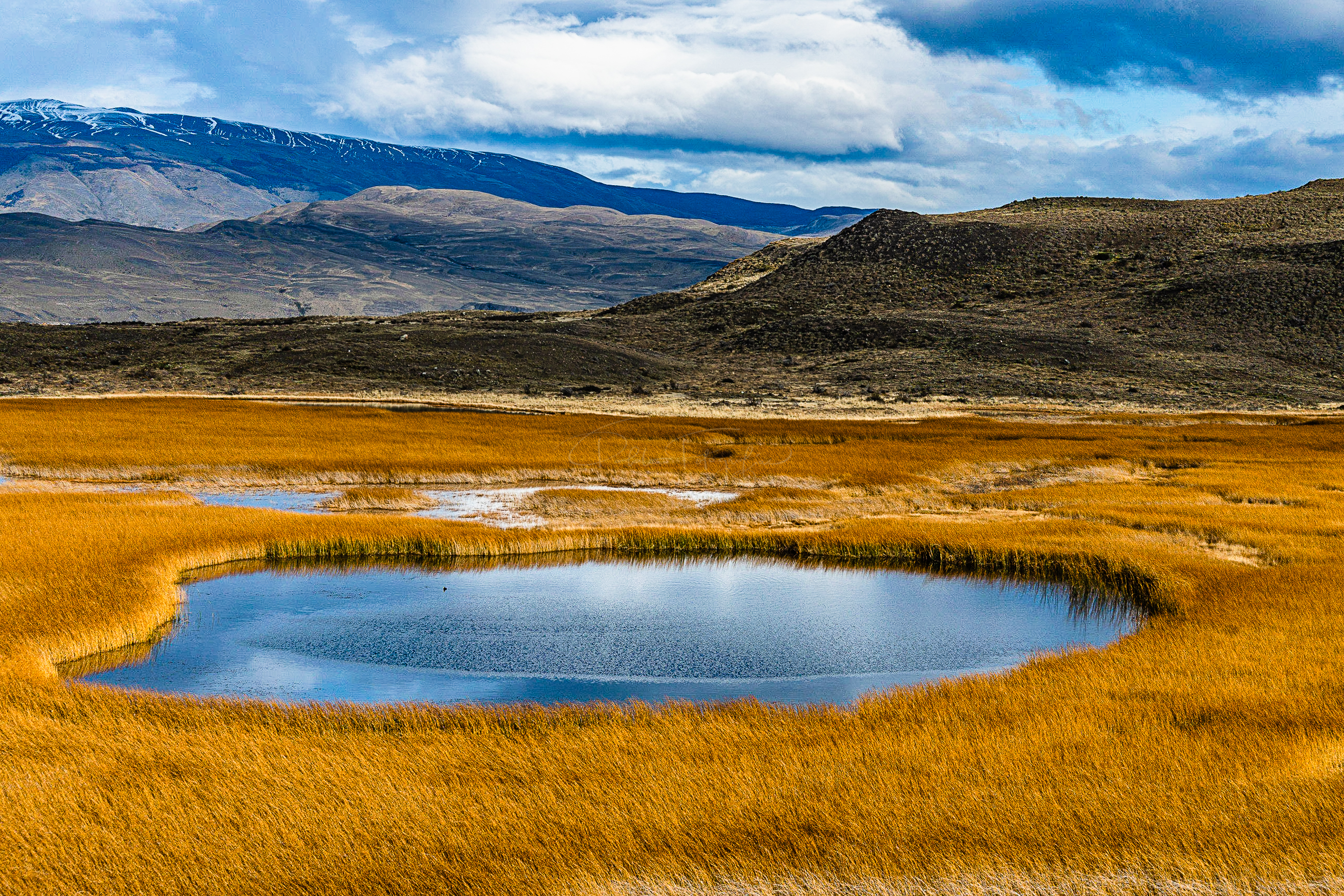 Laguna