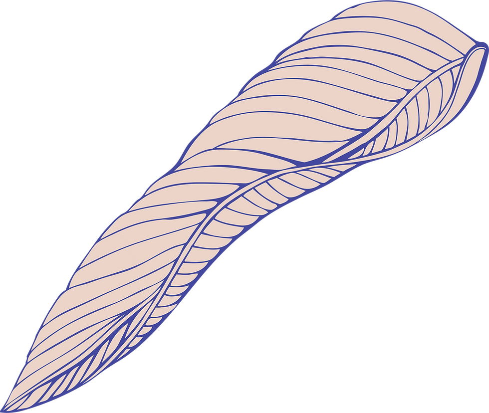 Stylized Decorative Leaf
