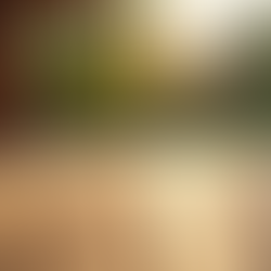 Unveiling the Ultimate Material for Your Custom Deck: The Key to Building with Unshakable Confidence