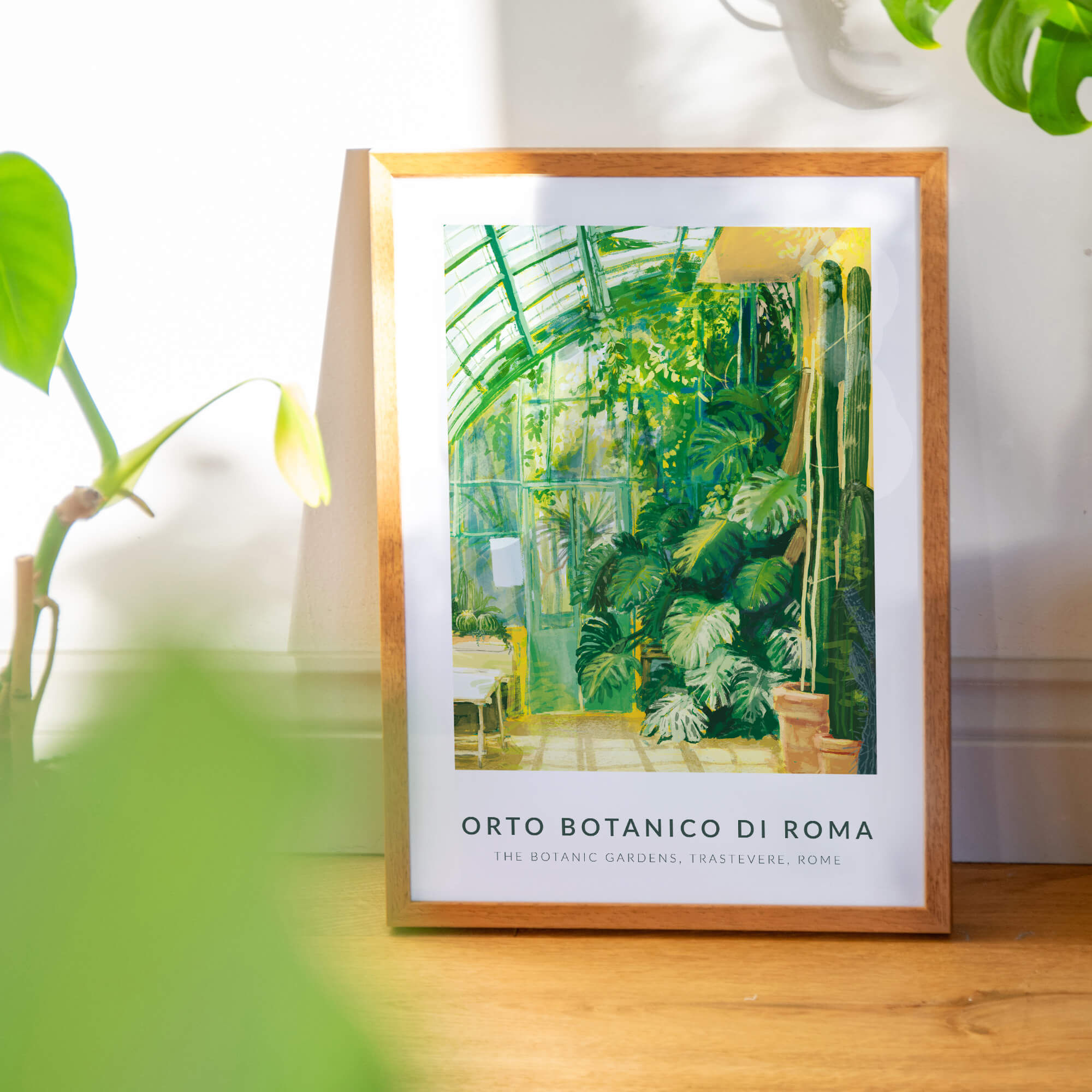 Rome Travel Greenhouse Botanic Monstera Cactus Garden Orto Botanico Di Roma Wall Art Print