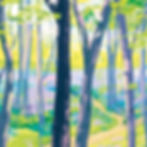 Thumbnail: Rutland Water Barnsdale Bluebell Woodland Forest Wall Art Print Stephanie Stilwell Art