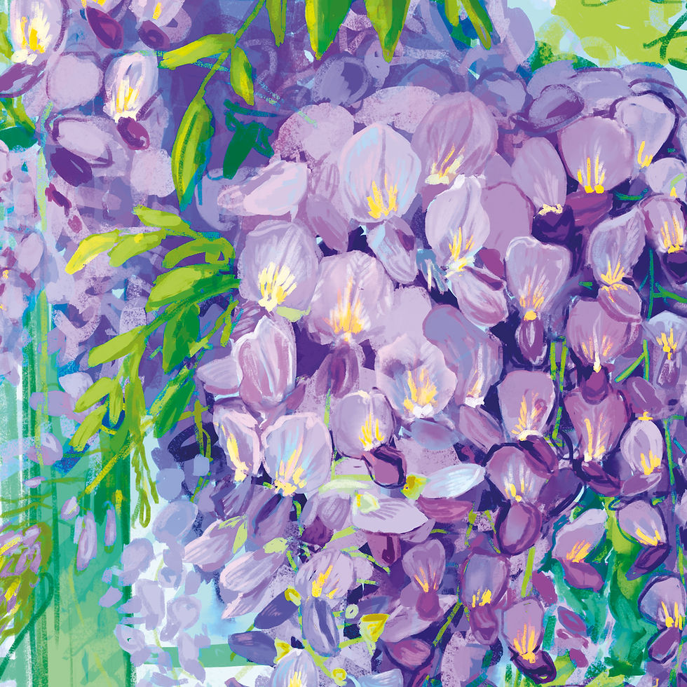 wysteria-bridgerton-romantic-art-plants-gardening-botanical-Art-Print-Digital-Illustration