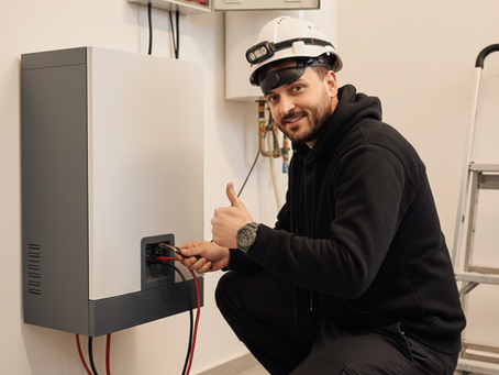 De Thuisbatterij en Zonnepanelen Noodzakelijke Nieuwkomers of een Gevaar in Huis?