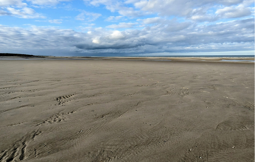 Plage-fond page accueil Site Pro Lionel.png