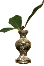 PC070955 (2).png