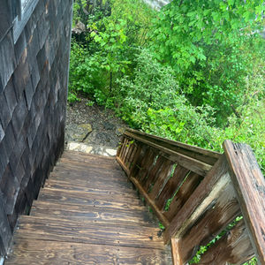 Exterior algae removal