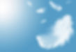 Light fluffy a white feathers floating in the sky with copy space. Feather abstract. Freed