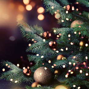 3 tips to Managing the Holidays