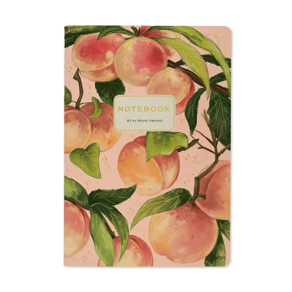 Thumbnail: Journals -Bruno Visconti