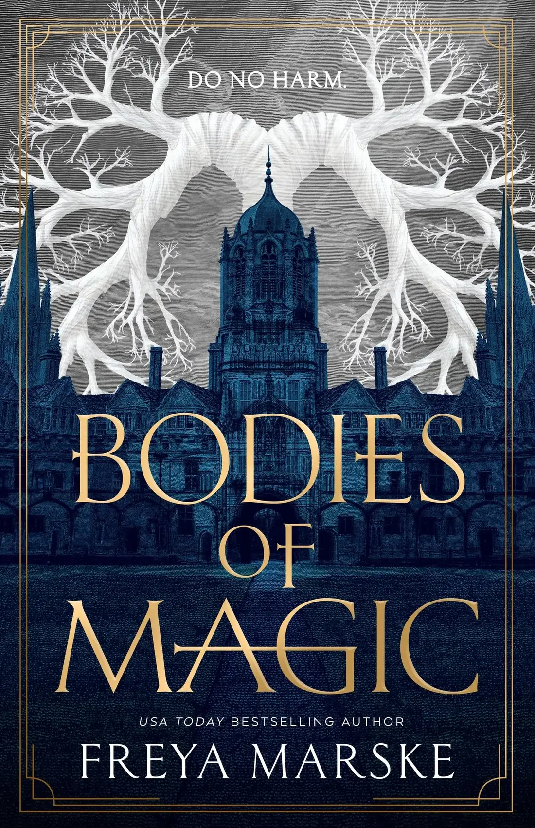 Bodies of Magic by Freya Marske